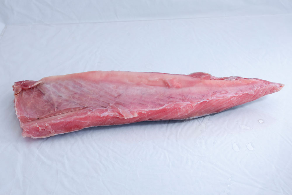 Lườn cá ngừ đại dương – hình ảnh thực tế