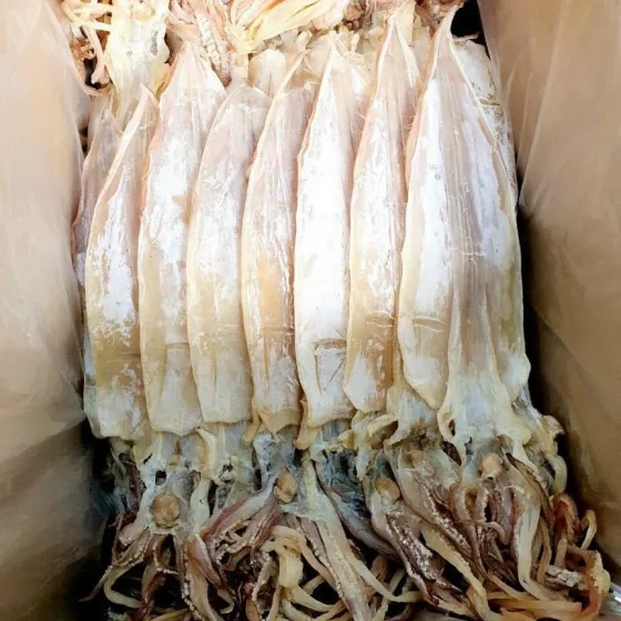 Mực khô cao cấp