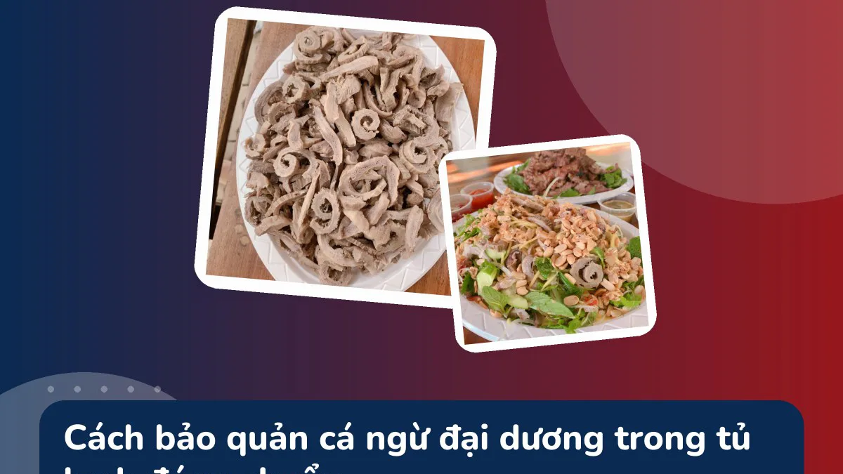 Cách bảo quản cá ngừ đại dương trong tủ lạnh đúng chuẩn