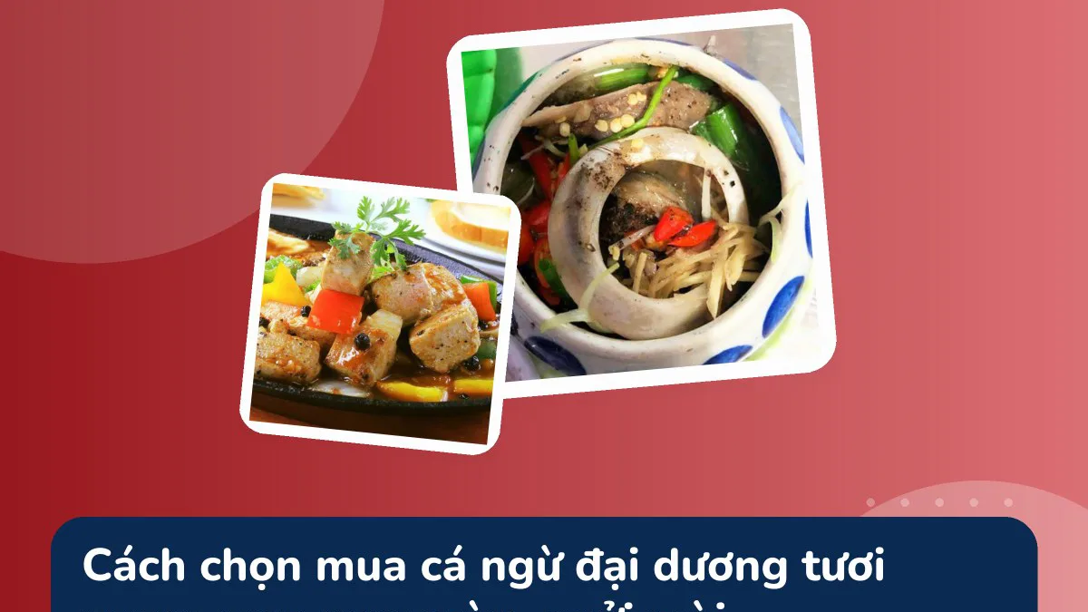 Cách chọn mua cá ngừ đại dương tươi ngon: mẹo xem màu, ngửi mùi